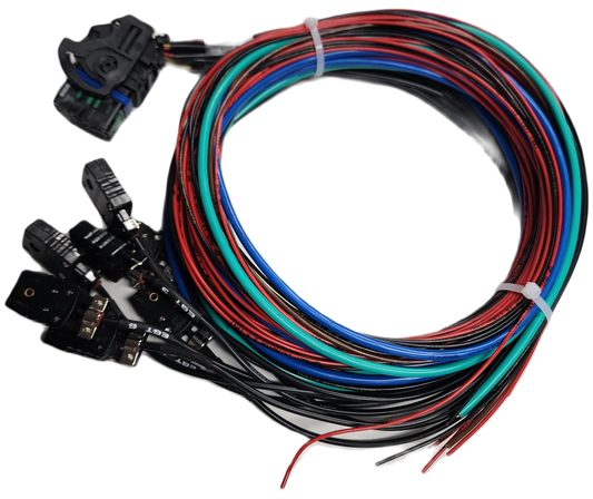 Maxx Race C2 Harness