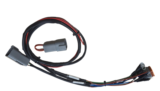 Delay box to Mallet Magnet Harness