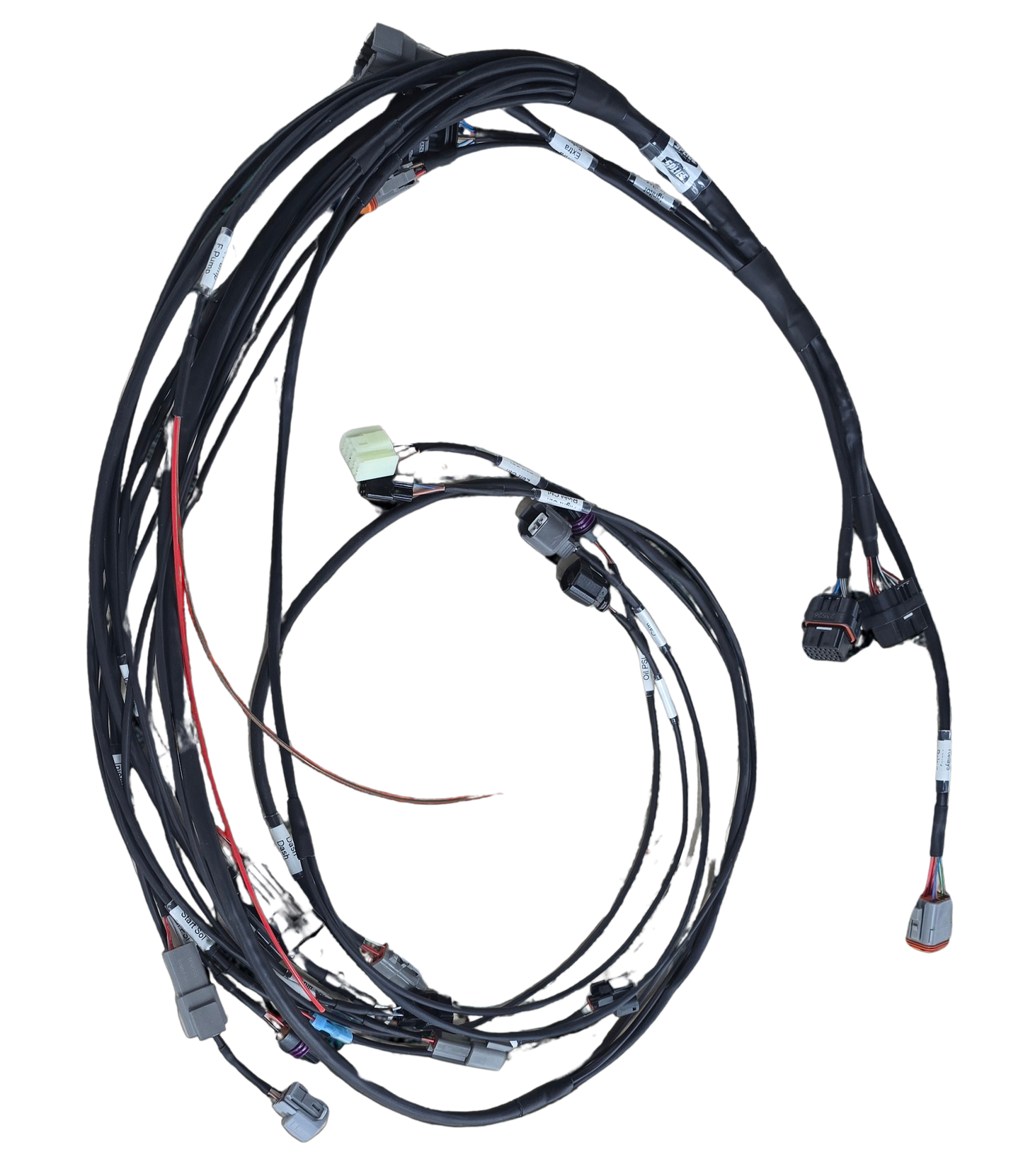 Holley HP Full Harness