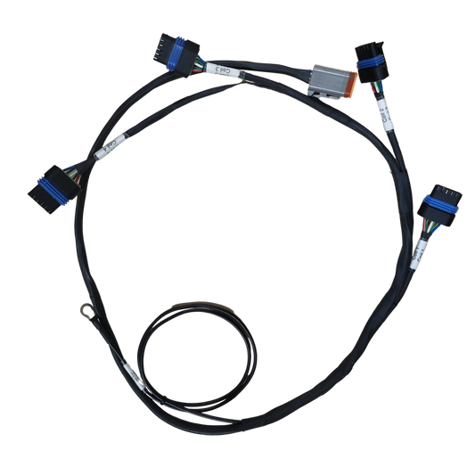 Coil Harness (IGN1A)